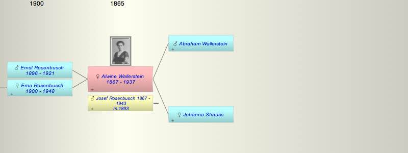 Alwine Wallerstein