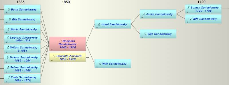 Benjamin Sandelowsky