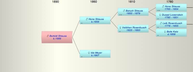 Bertold (Baruch) Strauss
