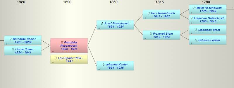 Franziska Rosenbusch
