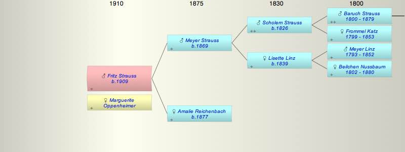 Fritz Adolf (Adi) Strauss