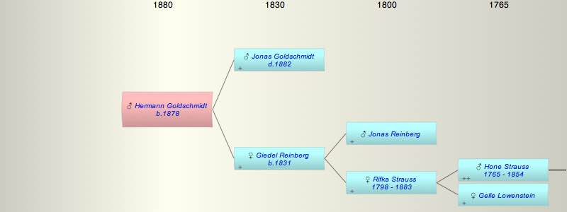 Hermann Goldschmidt