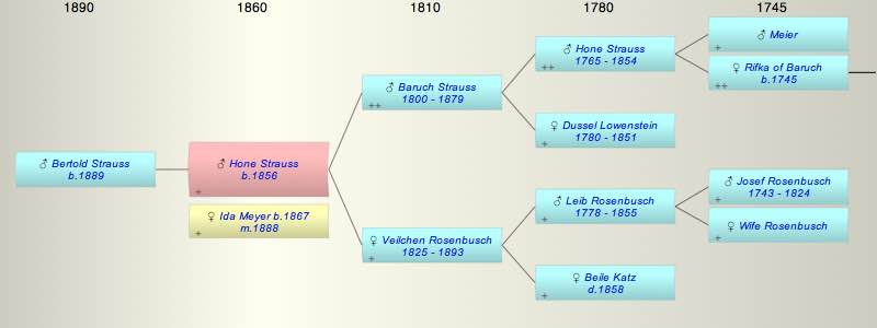 Hone (Hermann) Strauss
