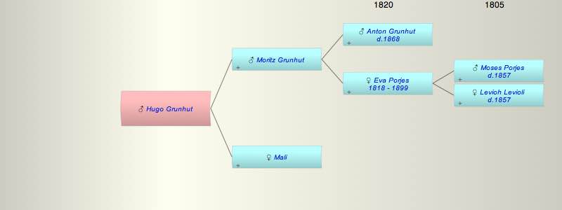 Hugo (Hilan) Grunhut