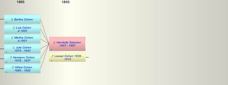 Henriette (Jetchen) Salomon