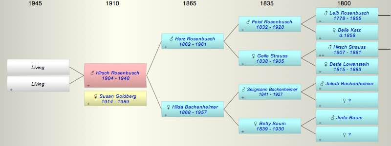 Hirsch Rosenbusch