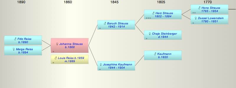 Johanna Strauss