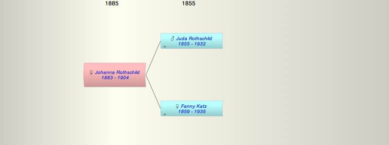 Johanna Rothschild