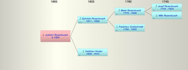 Julchen Rosenbusch