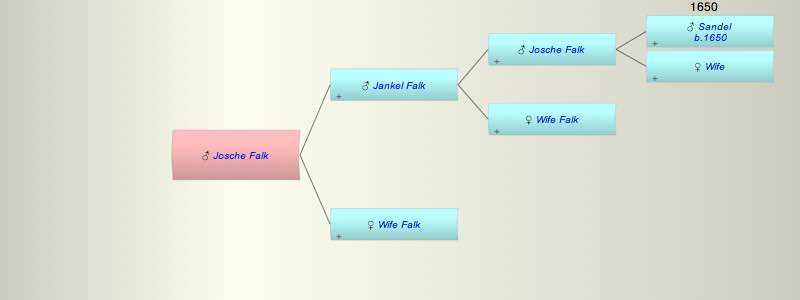 Josche Falk