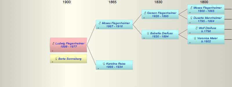 Ludwig Arye Abraham Flegenheimer