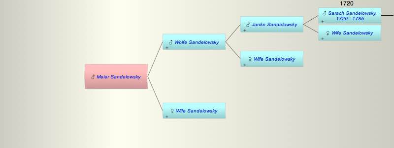 Meier Sandelowsky