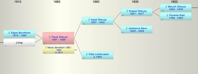 Paula (Breine) Strauss