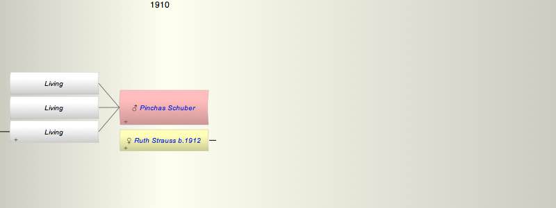Pinchas Schuber