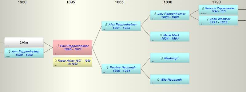 Paul A. Pappenheimer