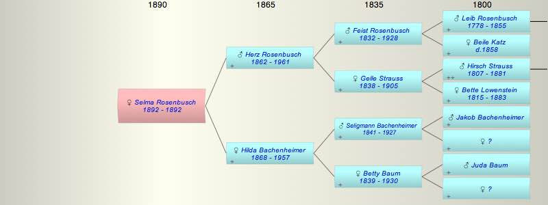 Selma Rosenbusch