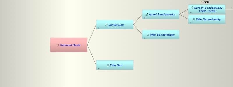 Schmuel David