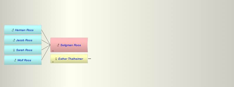 Seligman Roos