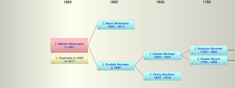 Wilhelm Winterstein