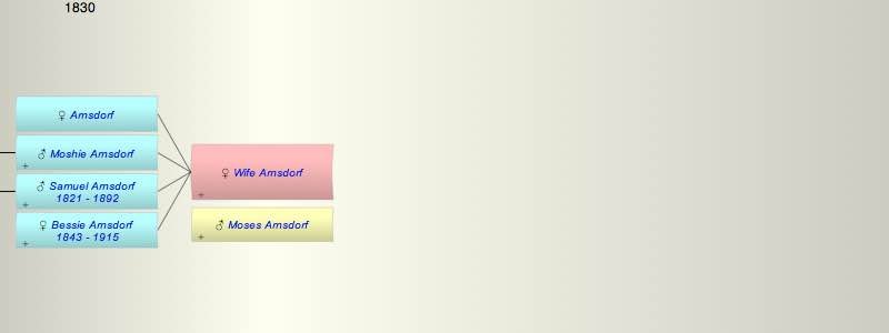 Wife of Moses Arnsdorf