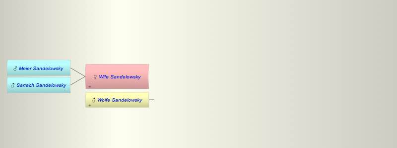 Wife of Wolfe Sandelowsky