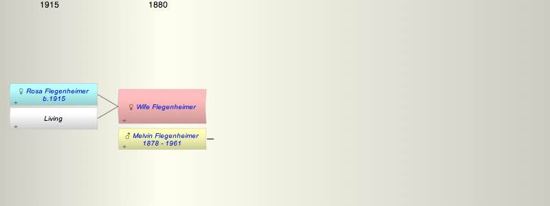 Wife of Melvin Flegenheimer